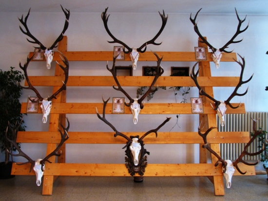 Další z těch nejlepších z přehlídky