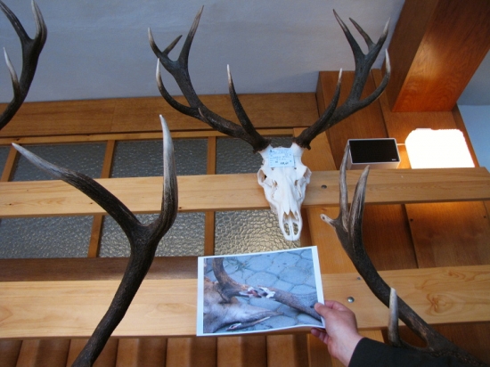 Špatně trefeno, dobře opraveno