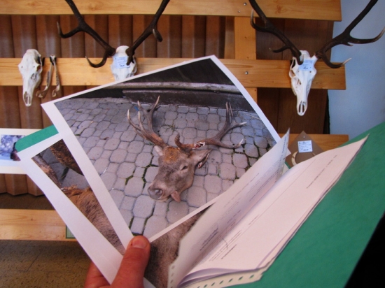 Není to časté, ale asi se to občas stane