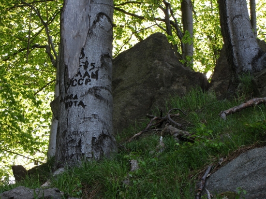 Vandalové byli i před lety