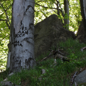 Vandalové byli i před lety
