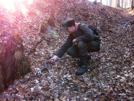 Jeho první jelení (rok starý 10terák)