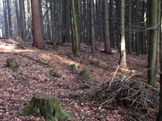 Zase jeden první pohled