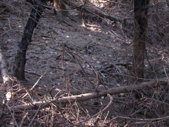 Krátký 14terák (prv. pohled)