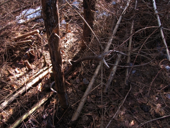 Takhle tam ležel (12terák)