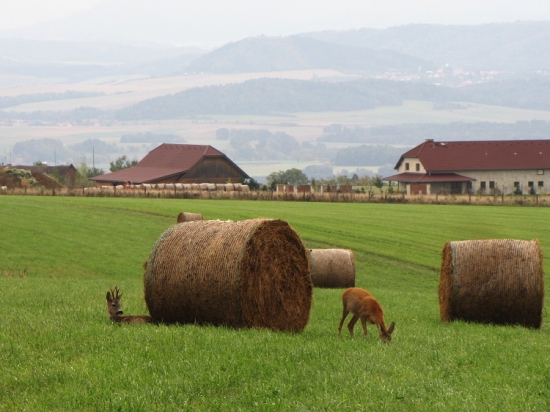 Stará, nežer a hlídej a už se konečně obleč do zimního