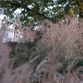 Na široko a přesto schovaný