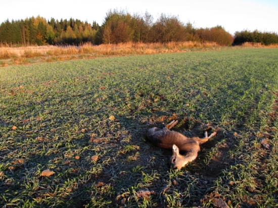 Příroda dala, příroda vzala
