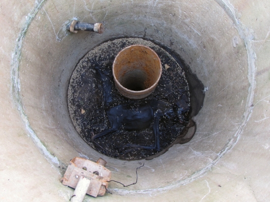 U jednoho vrtu pitné vody (Pijte vodu)