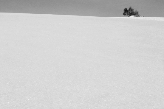 Zasněženou krajinou