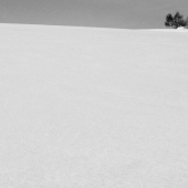 Zasněženou krajinou