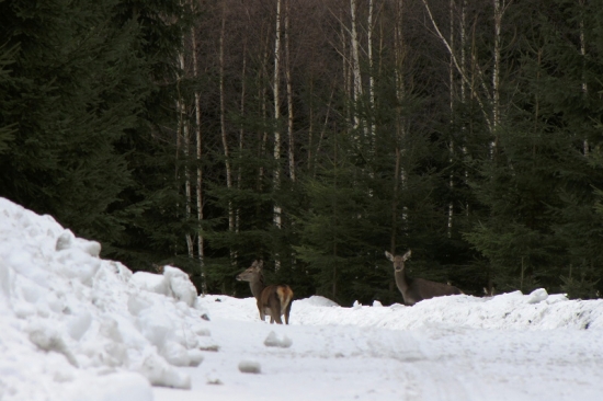 Ani jsem netušil, že jich tam bylo tolik