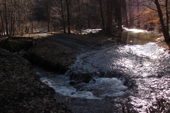 Jarní potůčky a lesní cestičky