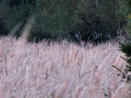 Nejsilnější, jakého jsem letos potkal