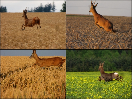 Když se nedaří, to co se dařit má.