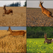 Když se nedaří, to co se dařit má.