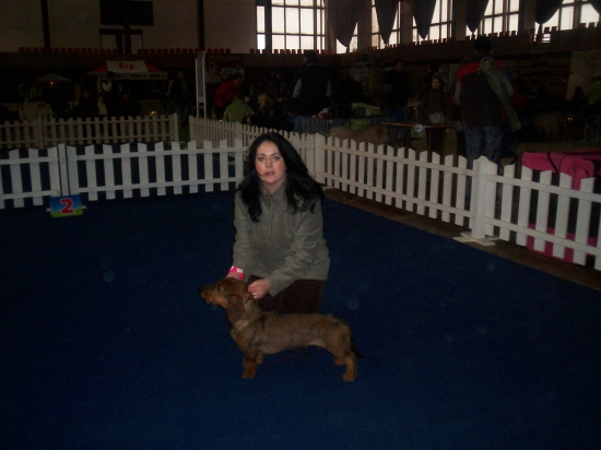 East cup 2011 (Kosice)