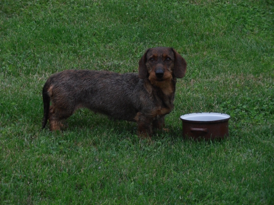 Cakame steniatka  36 den:)