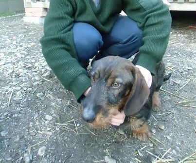 Moj odchovanec, Edo:)