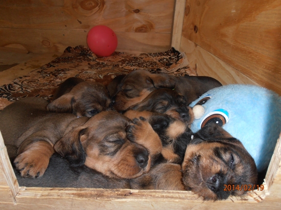 Už máme 3 týždne:)