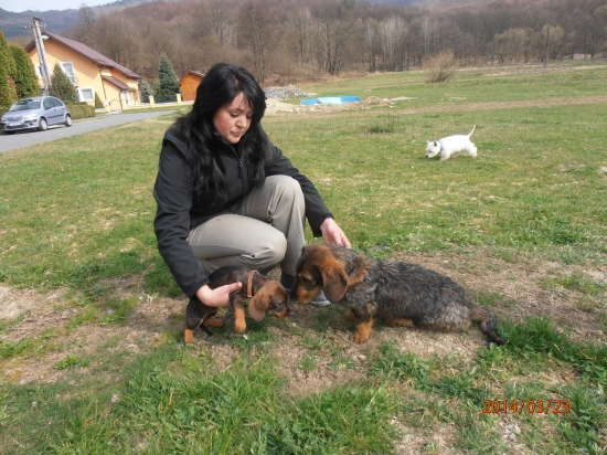 Elvis a jeho malá sestra Freya :)