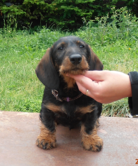 Ešte foto spredu:) Timi, 3 mesiace..