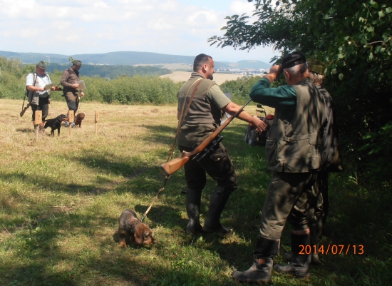FSMP-   Elza Červený hrun..