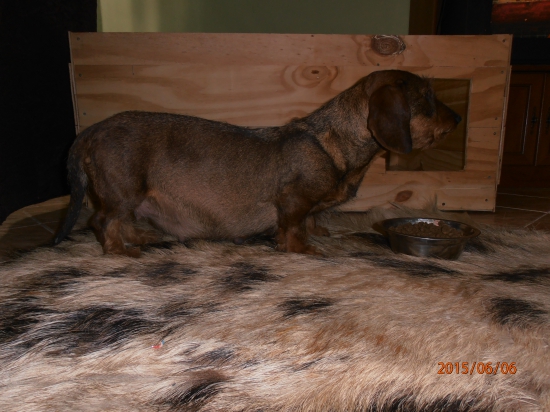 Už sa to blíži, 50 deń:)