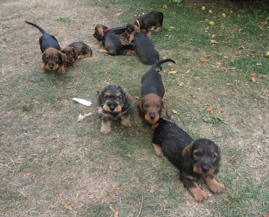 Posledný krát spolu,7 týždnov..