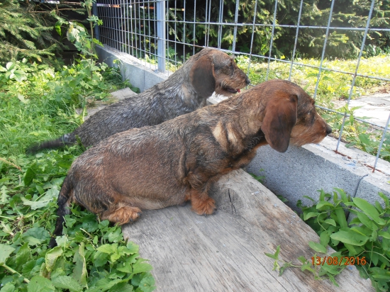 Dve budúce mamičky,ideme do finále:)