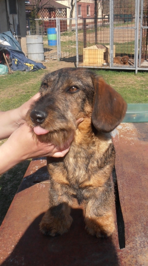 HORUS..  7 mesiacov..