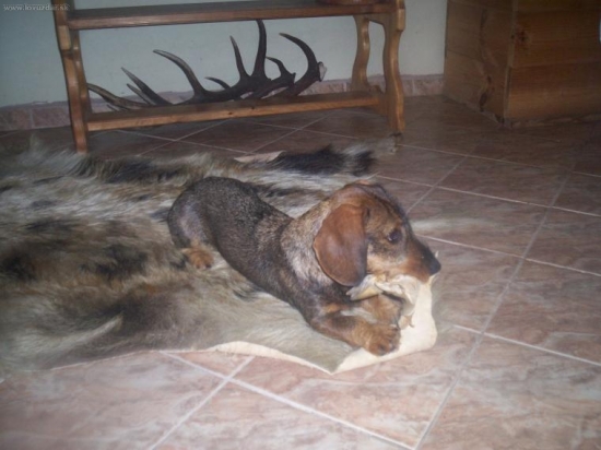 Ked je vonku blbe pocasie...