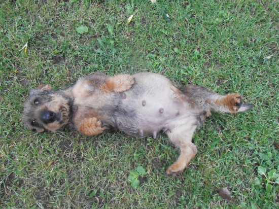 Ideme do finále,  55 deň :)