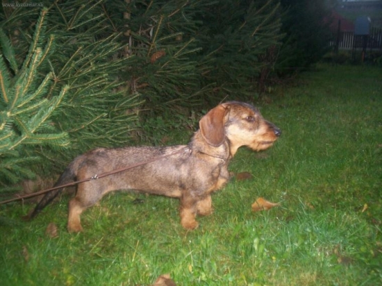 Po prvom trimovaní:)