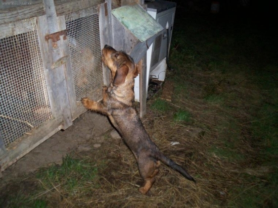 Hmm,ako sa len k tebe dostanem..