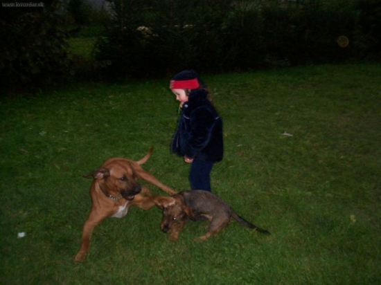 ...tu máš po hlave :)