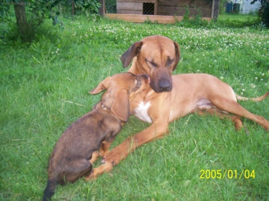 Daaaj mi pusu - neotravuj :-)