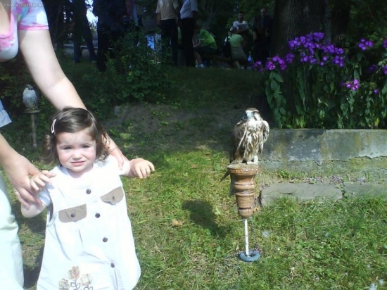 Lea minuly rok na Hubertovych dnoch..