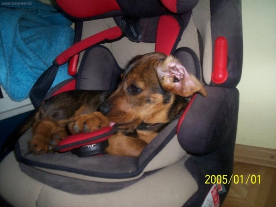 Oblubeny pelech,detska autosedacka-ako 2 mesacna..