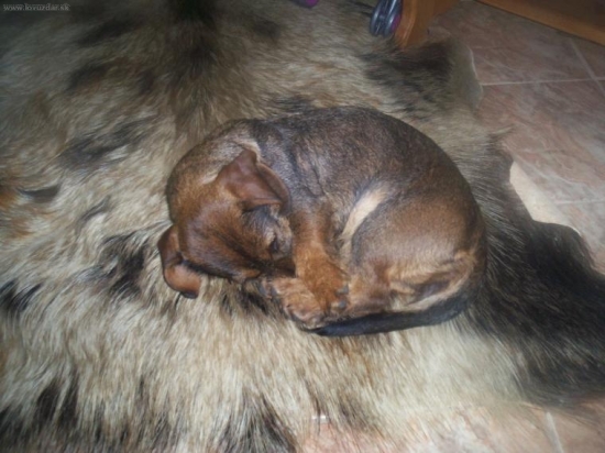 Aj takto viem spinkať :-)