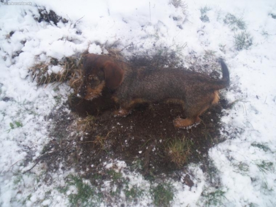 Toto robim najradsej..