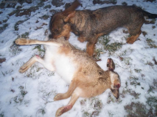 Vzdy chyti najprv za zadok :-))