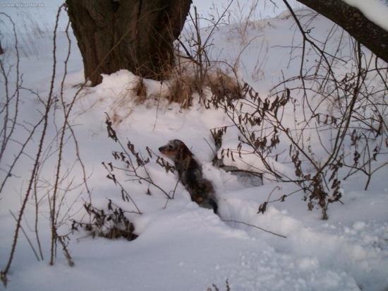 Na dnesnej prechadzke..