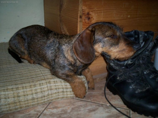 Nam smrdia,jej vonaju :))