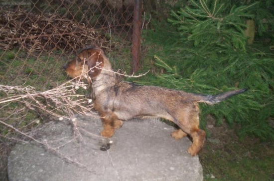 Kde zmizla ta cica..