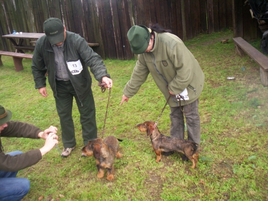 Stretli sa surodenci :)