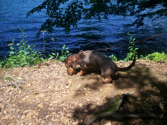 Kym som ju stihla cvaknut,tak mi takto zapozovala:)