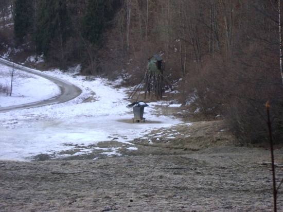 posed a krmivo na luke