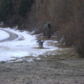 posed a krmivo na luke