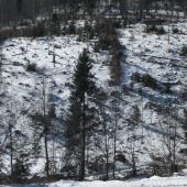 Pripravený na jeseň